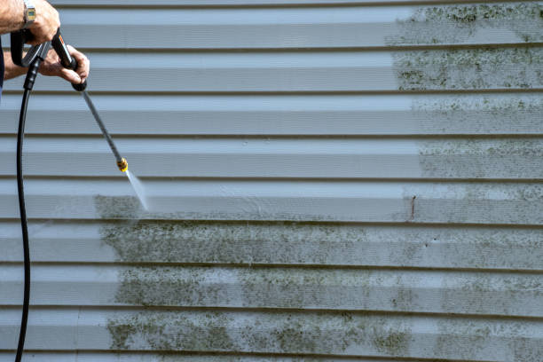 Best Storm Damage Siding Repair  in USA